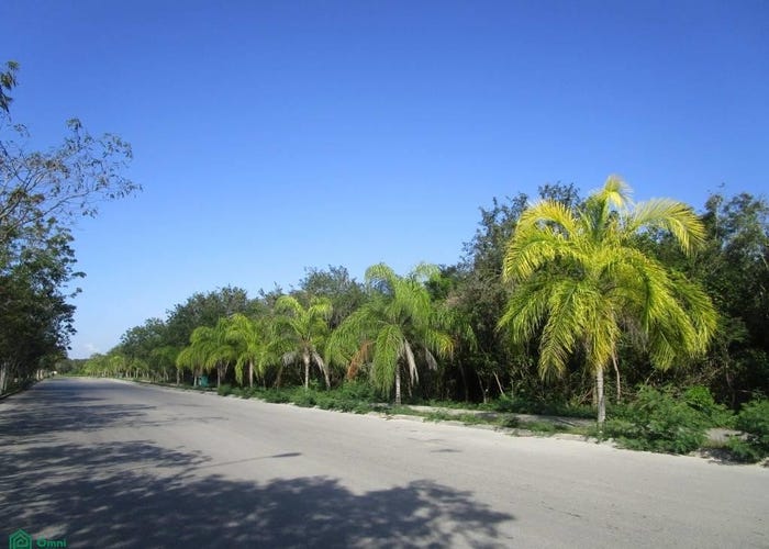 PASEO DEL MAYAB mz 16 lote 31, Playa del Carmen Centro, Solidaridad, Quintana Roo