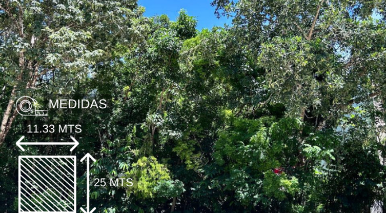 TERRENO EN VENTA PLAYA DEL CARMEN, MAYAKOBA