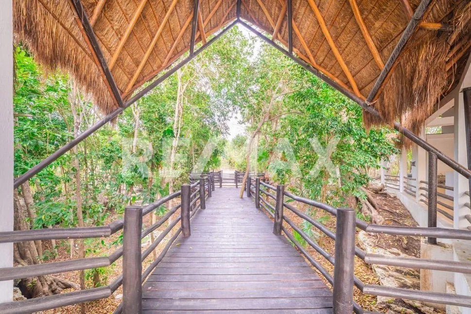 Carretera Cancún - Tulum, Benito Juárez, Quintana Roo