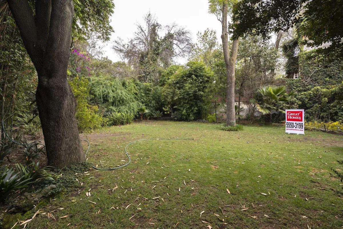 Jardin, Pueblo Tlacopac, Álvaro Obregón, Ciudad De México