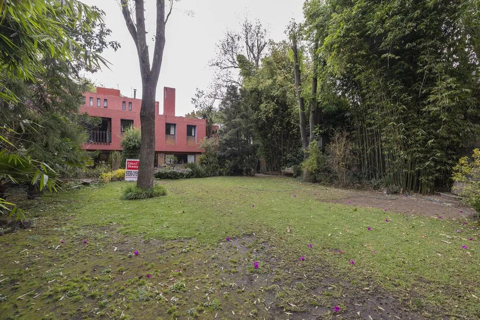 Jardin, Pueblo Tlacopac, Álvaro Obregón, Ciudad De México