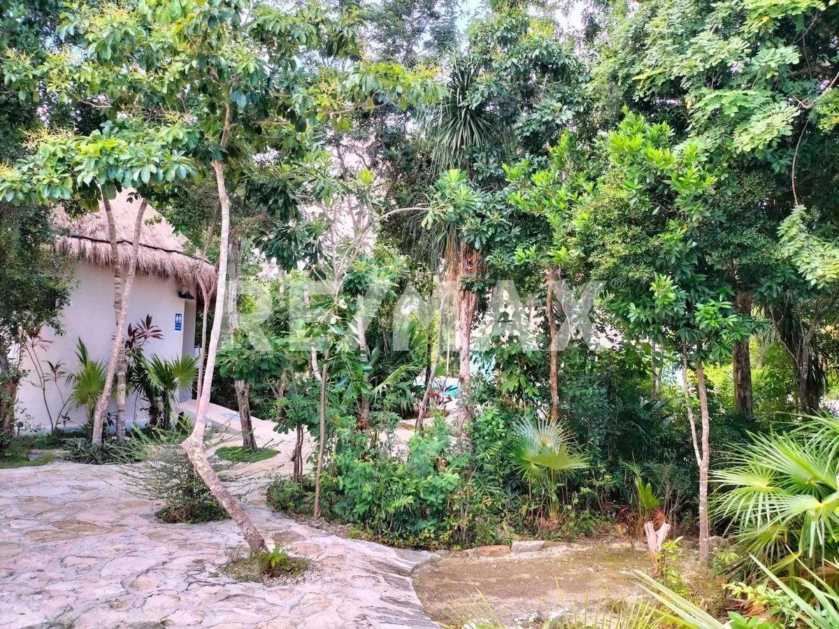 Carretera Cancún - Tulum, Benito Juárez, Quintana Roo